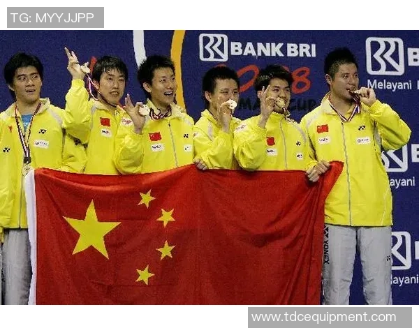 武汉羽毛球队总决赛表现分析与状态评估的深度解读